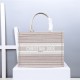 MEDIUM Dior BOOK TOTE Multicolor Stripes Embroidery High