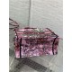 SMALL Dior BOOK TOTE Toile de Jouy Voyage Embroidery Pink High