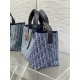 DIOR TOUJOURS BAG MEDIUM Denim Blue High