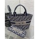 DIOR HAT BASKET BAG Dior Oblique Jacquard Embroidery High