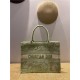 MEDIUM Dior BOOK TOTE Toile de Jouy Reverse Embroidery Green Mid