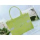 MEDIUM Dior BOOK TOTE Toile de Jouy Reverse Embroidery Lime High