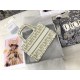 MINI Dior BOOK TOTE Dior Oblique Embroidery Gold High