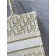 MEDIUM Dior BOOK TOTE Dior Oblique Embroidery Gold High