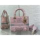 MEDIUM LADY D-LITE BAG Toile de Jouy Embroidery Pink-Grey High