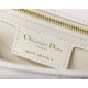 SMALL Dior CARO BAG Quilted Macrocannage Calfskin White Gold Metal High