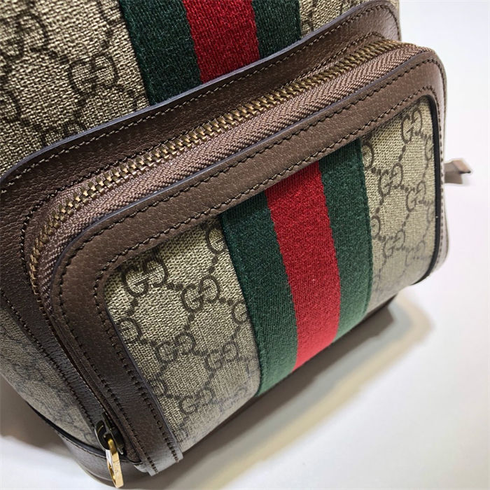 Gucci Ophidia GG small backpack 547965 High