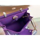 Hermes Herbag 31 Purple High