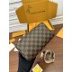 Louis Vuitton SPEEDY BANDOULIÈRE 20 Damier Ebene N40489 Top