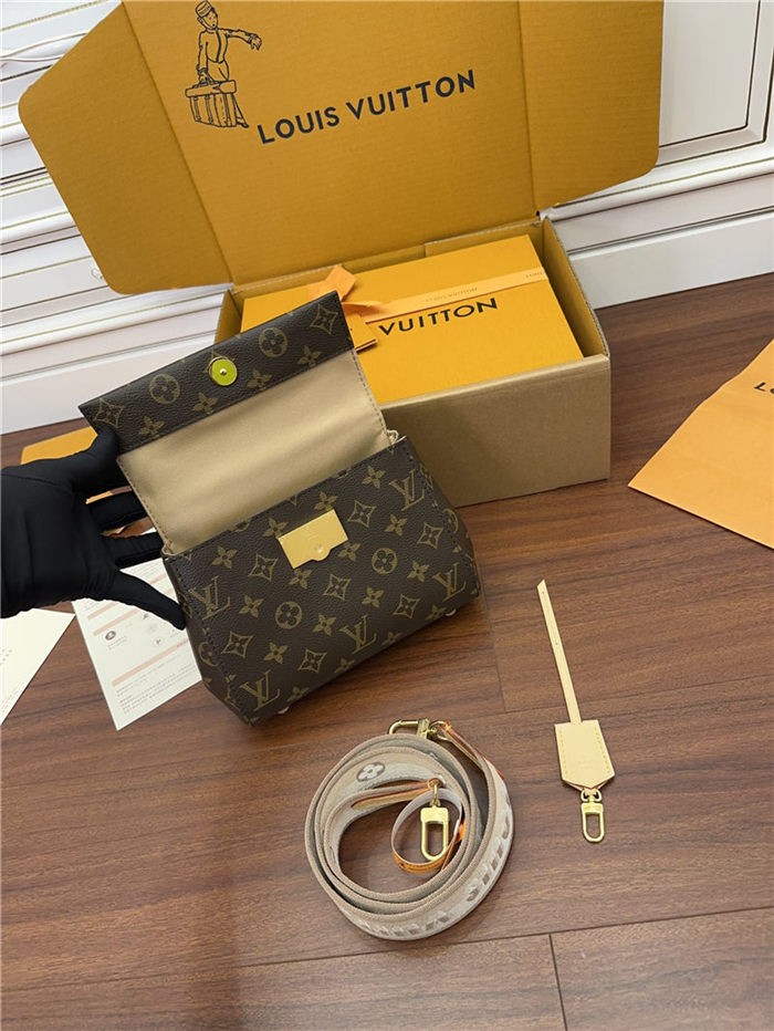 Louis Vuitton CLUNY MINI Monogram coated canvas M46055 Top