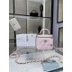 Chanel SMALL VANITY WITH CHAIN AP2198 Lambskin & Gold-Tone Metal Pink High