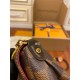 Louis Vuitton Favorite MM Bag Damier Ebene N41129 Top