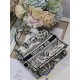 SMALL Dior BOOK TOTE Plan de Paris Embroidery Beige High