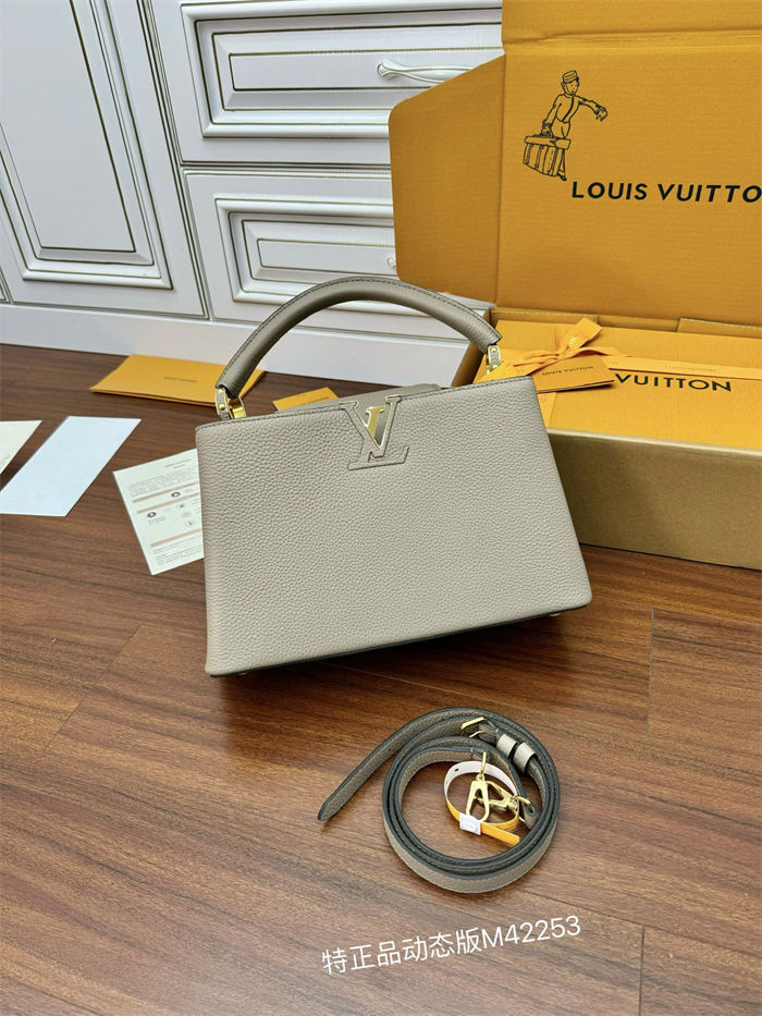 Louis Vuitton CAPUCINES MM Taurillon Leather M42253 Top