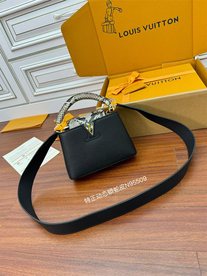 Louis Vuitton CAPUCINES MINI Taurillon Leather N95509 Top