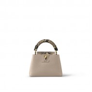 Louis Vuitton CAPUCINES MINI Taurillon Leather N81258 Top