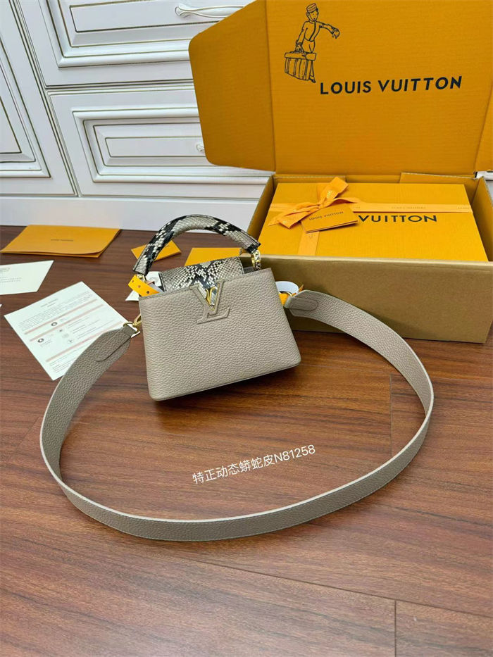 Louis Vuitton CAPUCINES MINI Taurillon Leather N81258 Top