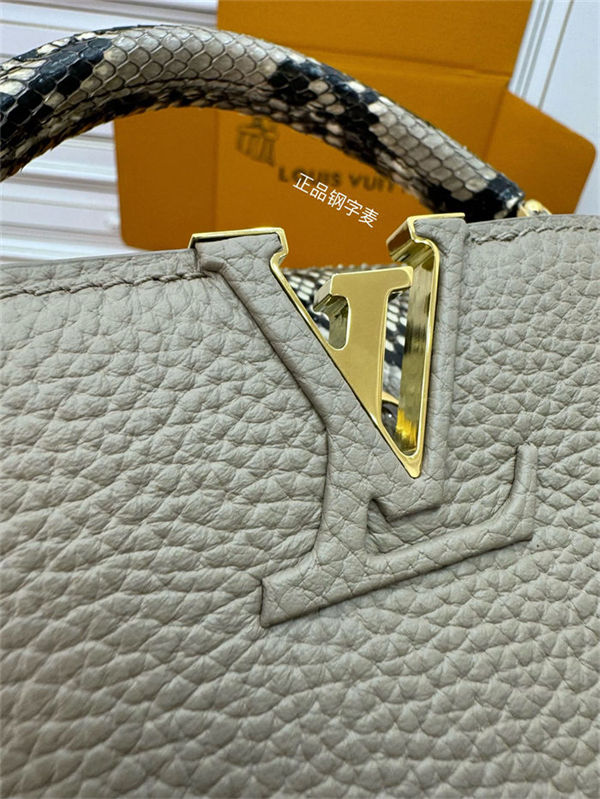 Louis Vuitton CAPUCINES MINI Taurillon Leather N81258 Top