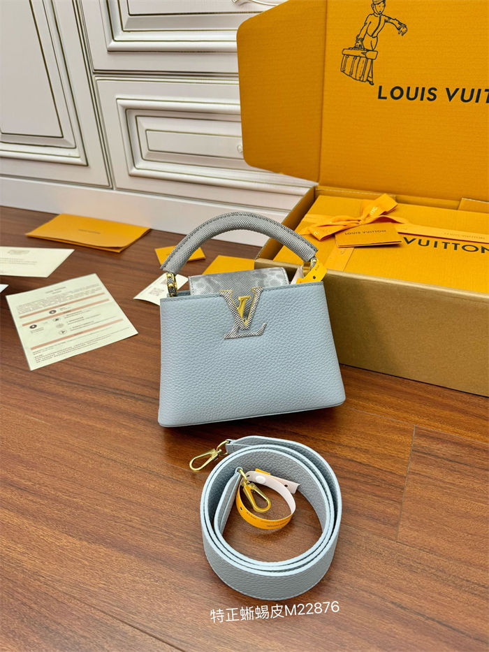 Louis Vuitton CAPUCINES MINI Taurillon Leather M22876 Top