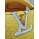 Louis Vuitton CAPUCINES MINI Taurillon Leather M21798 Top