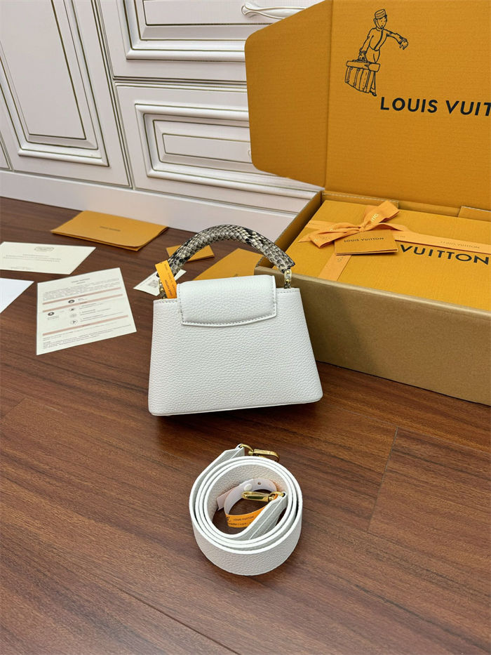 Louis Vuitton CAPUCINES MINI Taurillon Leather N98477 Top