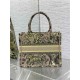 SMALL Dior BOOK TOTE Toile de Jouy Embroidery Sauvage Raffia High