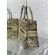 MEDIUM Dior BOOK TOTE Toile de Jouy Embroidery Sauvage Raffia High