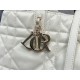 DIOR TOUJOURS BAG LARGE Macrocannage Calfskin Latte High