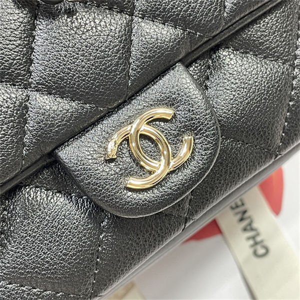 Chanel Duma Backpack 3618 Calfskin Gold-Tone Metal Black A