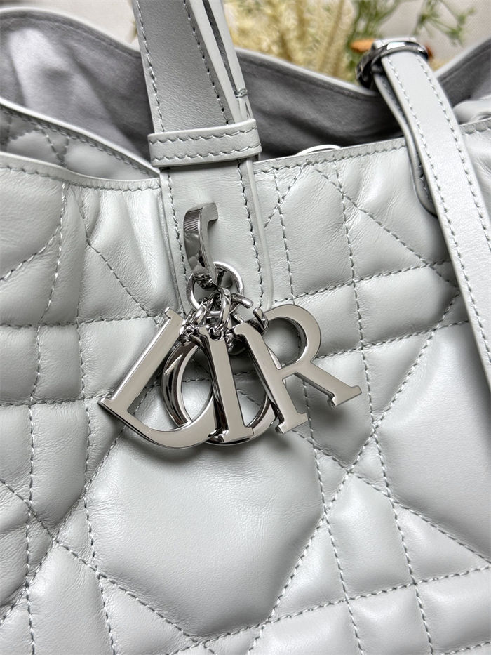 DIOR TOUJOURS BAG LARGE Macrocannage Calfskin Grey High