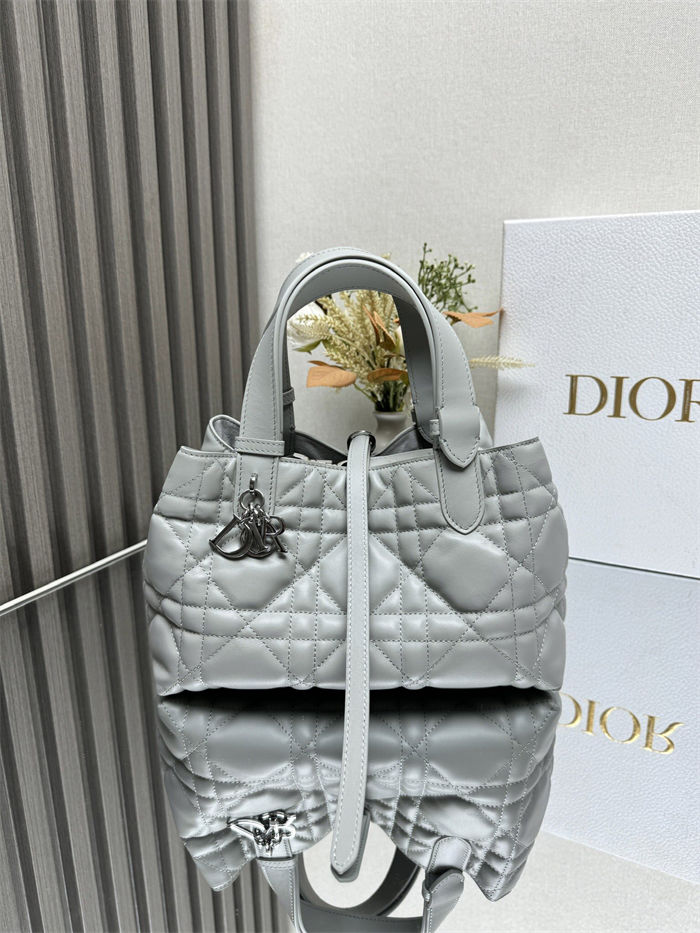 DIOR TOUJOURS BAG SMALL Macrocannage Calfskin Grey High