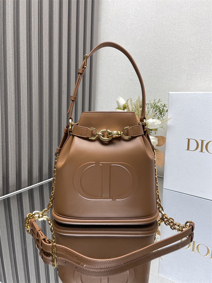 C'est Dior Bag Medium CD-Embossed Calfskin Golden Saddle High