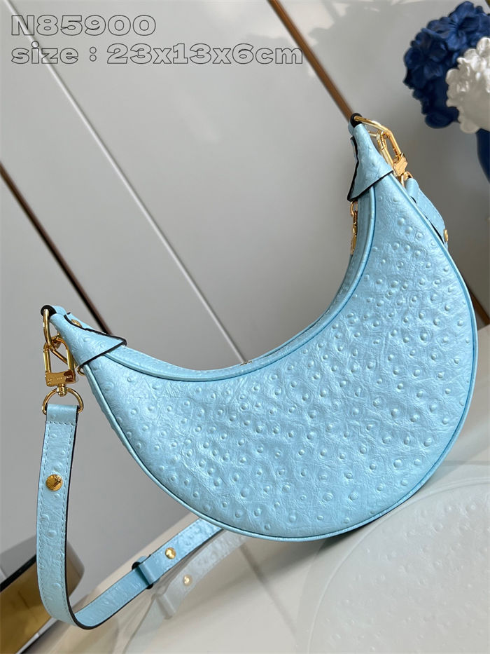 Louis Vuitton LOOP Handbag Ostrich leather N85900 Blue High