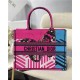 MEDIUM Dior BOOK TOTE D-Jungle Pop Embroidery Blue/Pink High