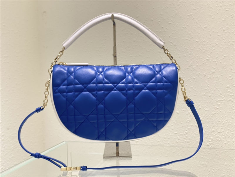 Dior VIBE BAG Blue High