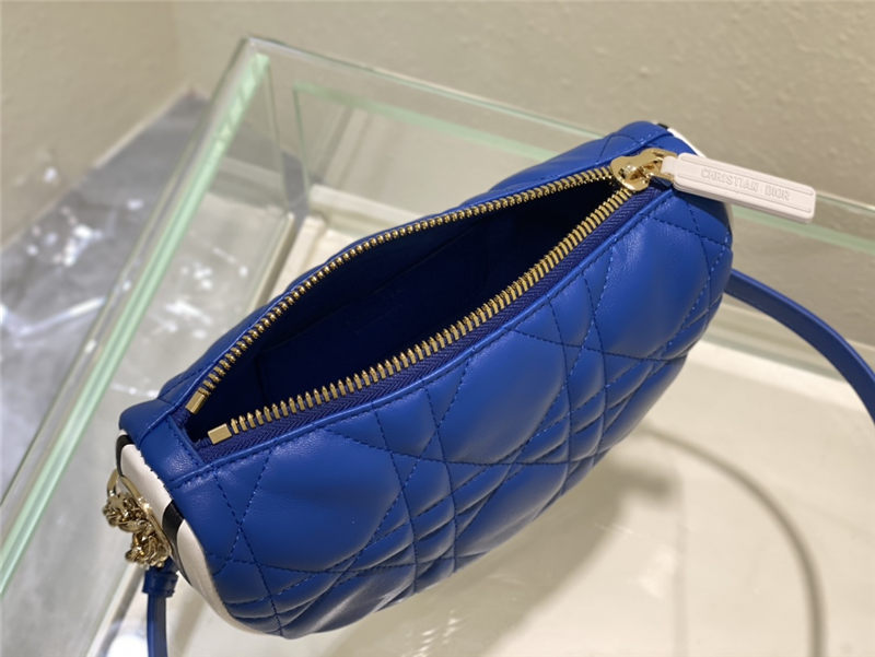 SMALL Dior VIBE Hobo Bag Calfskin Blue High