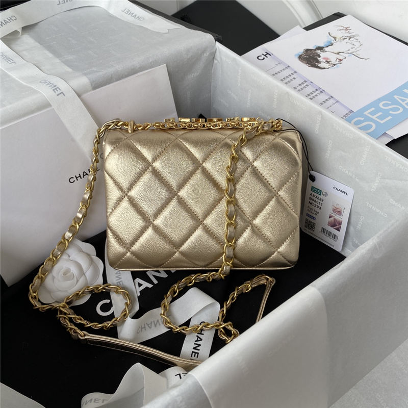 MINI FLAP BAG Lambskin, Strass & Gold-Tone Metal AS3239 Gold A