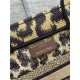 SMALL Dior BOOK TOTE Multicolor Mizza Embroidery Beige High