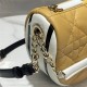 Dior VIBE BAG Yellow High