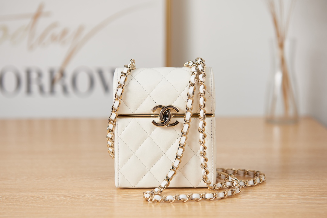 SMALL BOX WITH CHAIN Lambskin & Gold-Tone Metal White AP2656 High