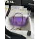 MINI FLAP BAG WITH TOP HANDLE AS2431 Snake Purpel High