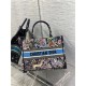 MEDIUM Dior BOOK TOTE Multicolor D-Constellation Embroidery High