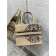 SMALL Dior BOOK TOTE Jute Canvas Embroidered with Dior Union Motif High