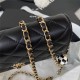 WALLET ON CHAIN Lambskin & Gold-Tone Metal AP1450 Black A