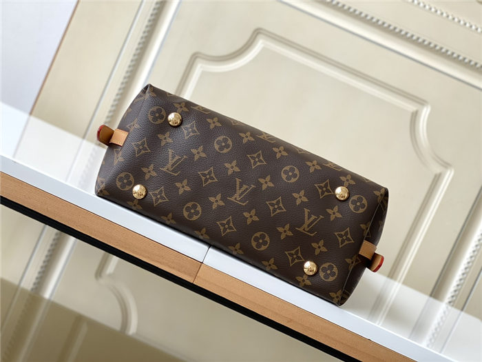 Louis Vuitton CARRYALL PM Monogram coated canvas M46203 High