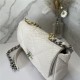 Chanel 19 Flap Bag Snake Gold-Tone, Silver-Tone & Ruthenium-Finish Metal High