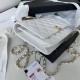 Chanel Wallet on Chain With Handle AP2844 Lambskin & Gold-Tone Metal White High