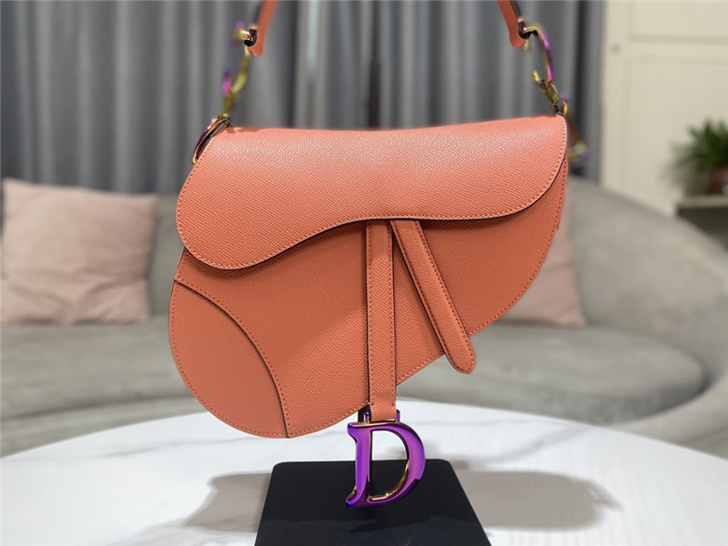 SADDLE BAG Iridescent-finish metal Grained Calfskin Coral High