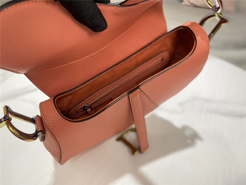 SADDLE BAG Iridescent-finish metal Grained Calfskin Coral High