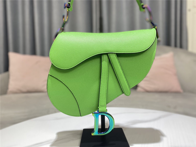 SADDLE BAG Iridescent-finish metal Grained Calfskin Green High